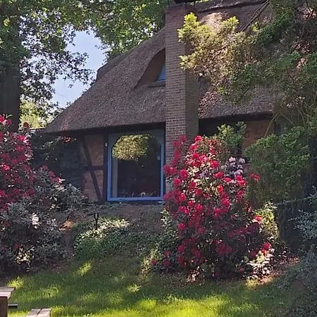 Traumhaftes Reetdachhaus 