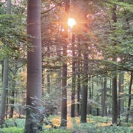 Prázdninový dům Traumhaftes Reetdachhaus 