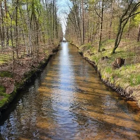 Prázdninový dům Traumhaftes Reetdachhaus 
