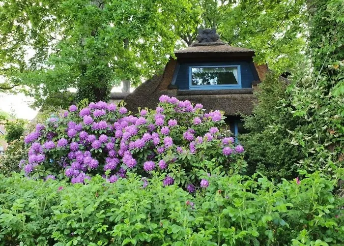 Traumhaftes Reetdachhaus 